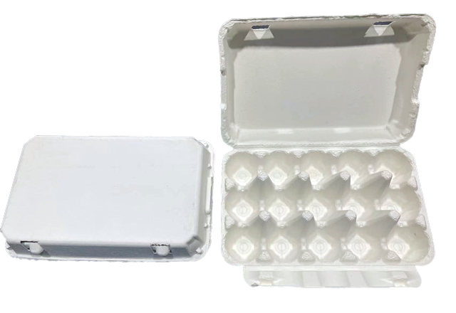 15 cell egg carton-White