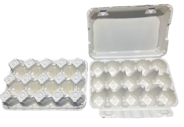 15 cell egg carton-White
