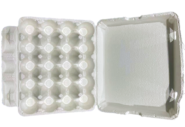 20 cell egg carton-White